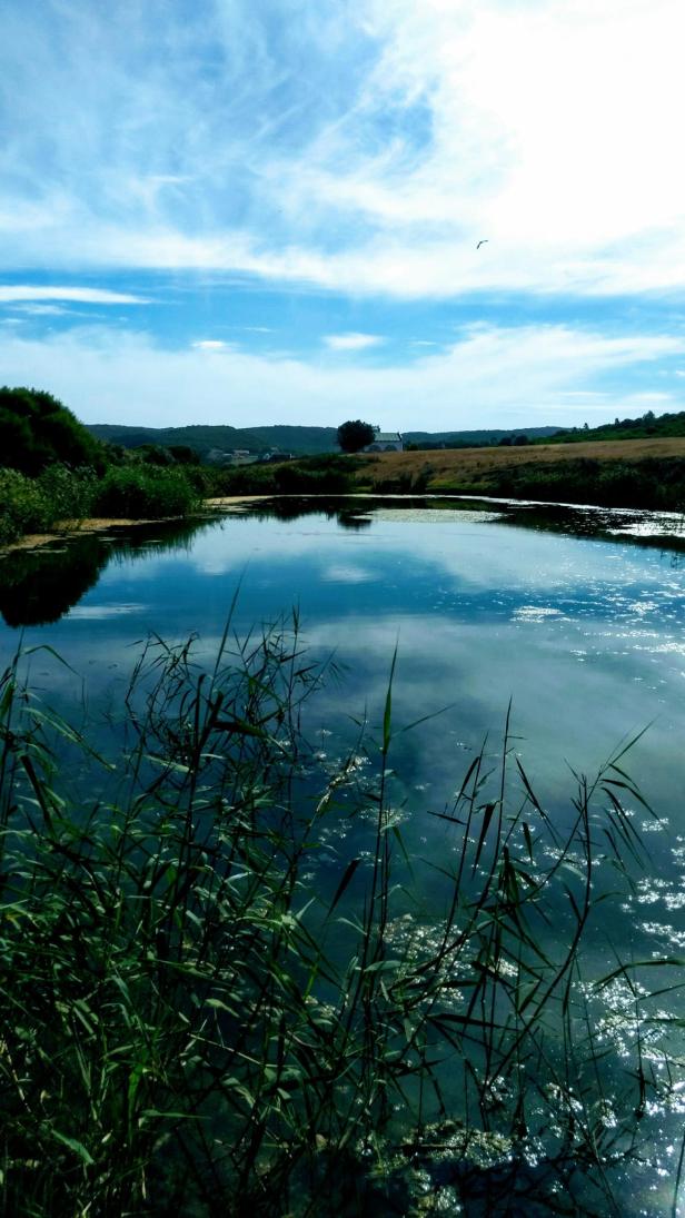 15723399_10154861729032329_7292162300881798253_o