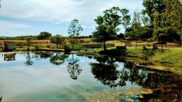 15731885_10154861729037329_1816419686283546214_o