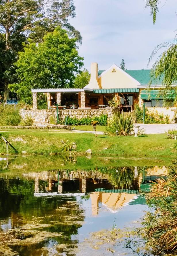 15732294_10154861729027329_6089061007948509428_o