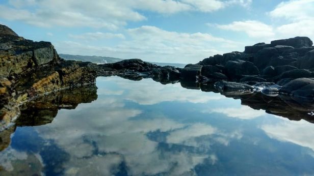 15774767_10154864400432329_4962745590747480089_o