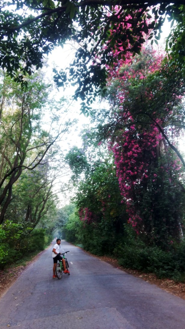 IMG_20170415_063545581_HDR