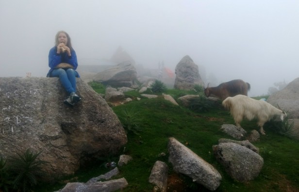 IMG_20170624_181951224