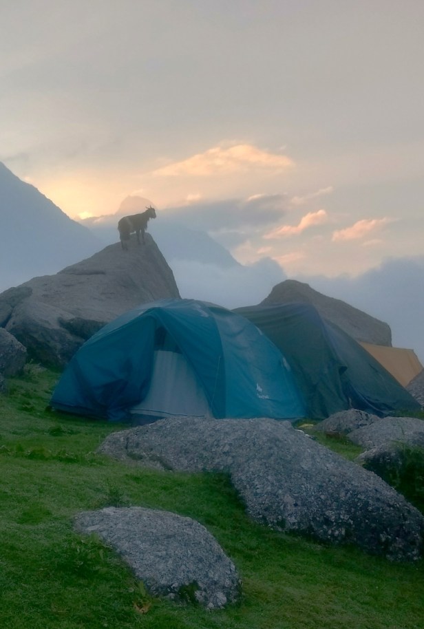 IMG_20170625_060025199_HDR