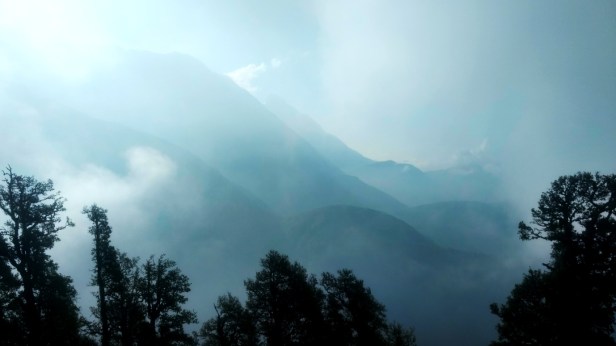 IMG_20170625_074801611_HDR