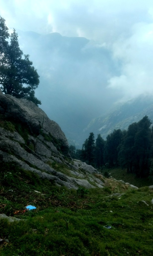 IMG_20170625_081705194_HDR