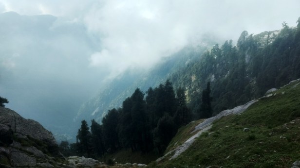 IMG_20170625_081710657_HDR