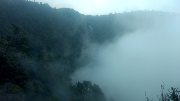 IMG_20170625_115534590