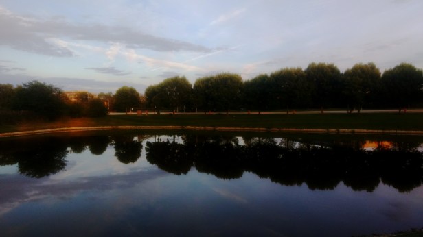 IMG_20170907_185023606