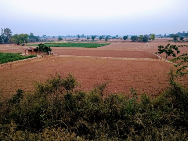 IMG_20180526_053354544