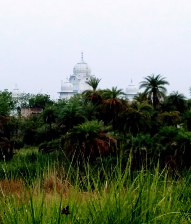 IMG_20180602_054549126