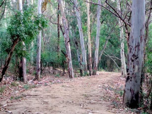 IMG_20180602_071215788