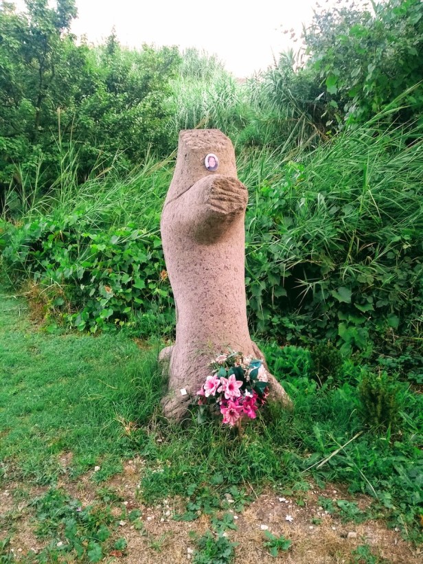 IMG_20180805_061957094