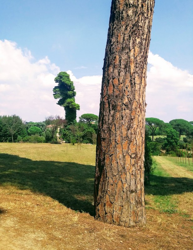 IMG_20180807_142343147