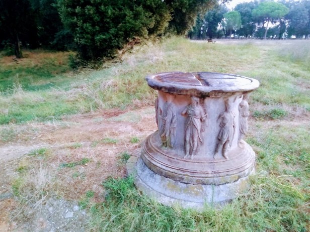 IMG_20180809_061649745