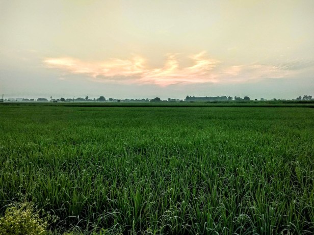 IMG_20180818_055439290_HDR