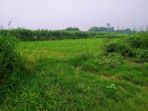 IMG_20180830_065634185