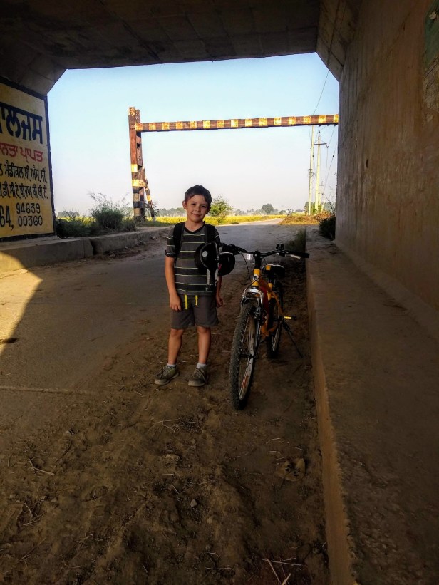 IMG_20181020_080441971