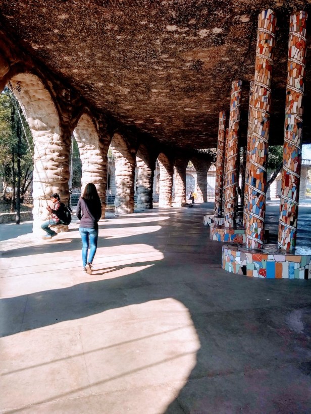 IMG_20181229_115025451_HDR