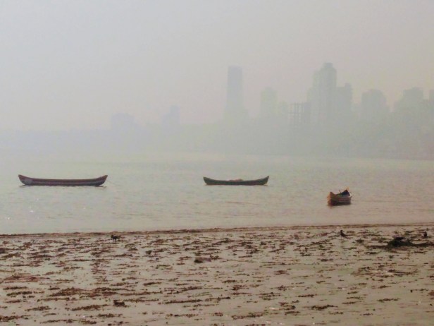 img_20190119_145304819