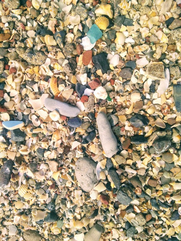 img_20190119_145517311