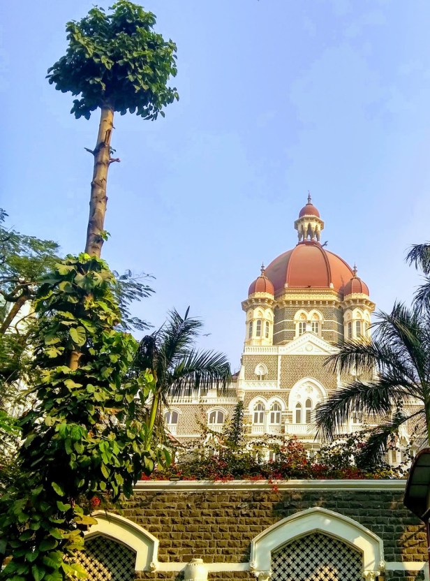 img_20190119_155708120_hdr-effects