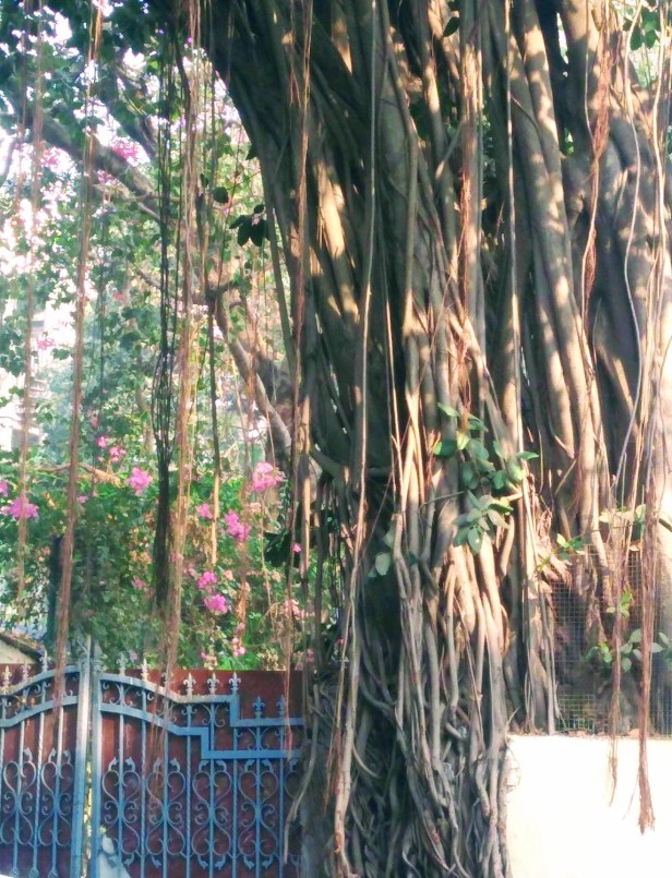 img_20190119_160335978