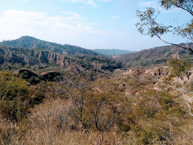 IMG_20190216_104249611