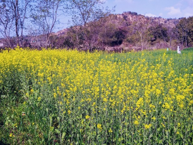 IMG_20190216_111836660