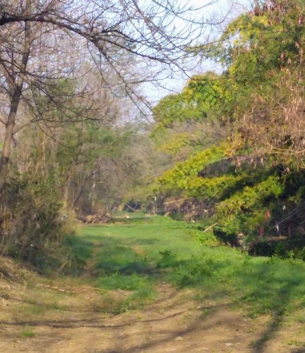 IMG_20190223_084519850 (1)