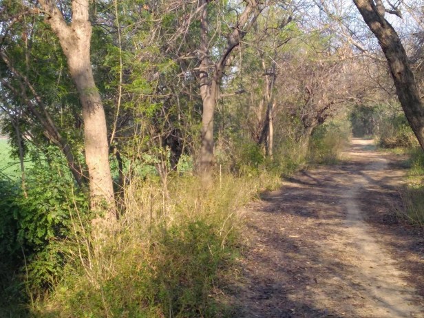 IMG_20190223_085734823 (1)