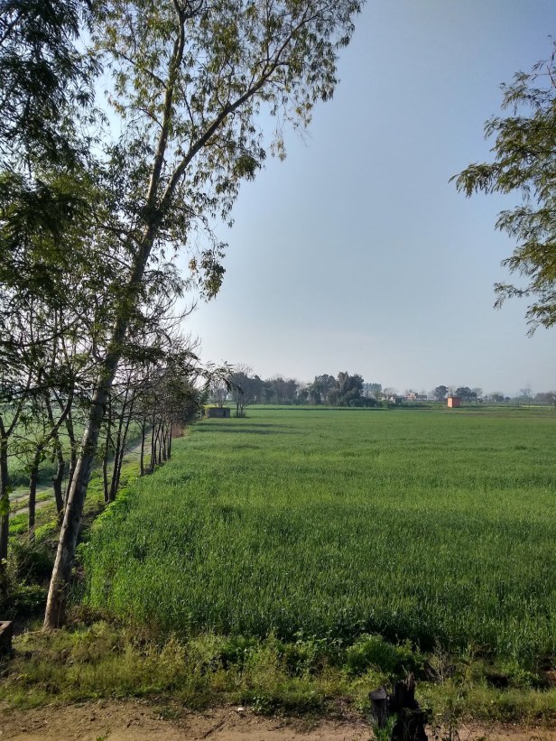 IMG_20190223_085959264_HDR