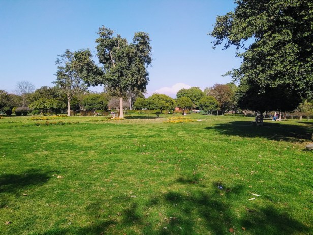 IMG_20190224_152951494