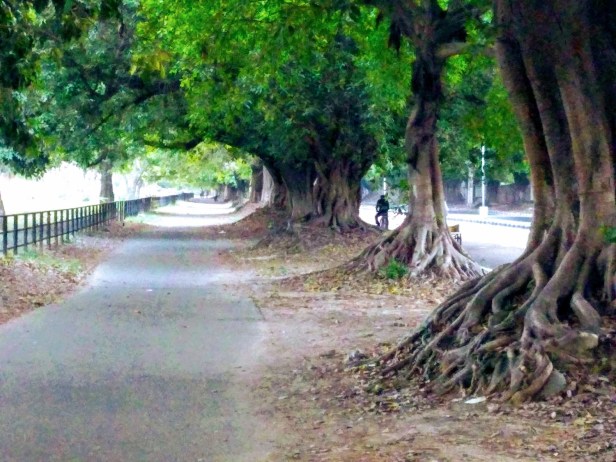 IMG_20190413_061013489