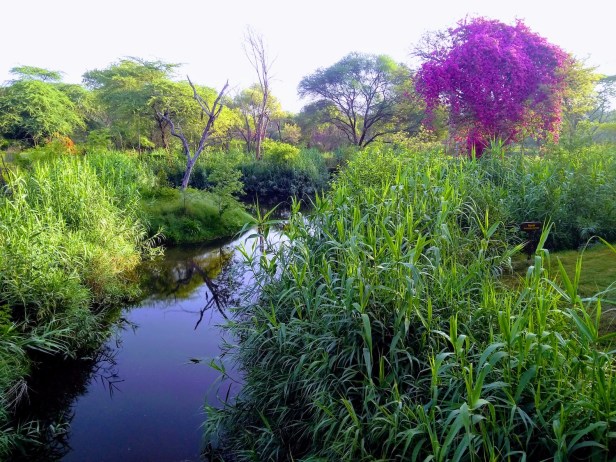 IMG_20190413_071142399