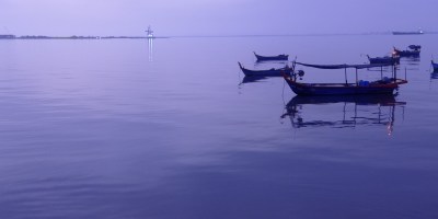 Boars drifting peacefully on a dark purple sea