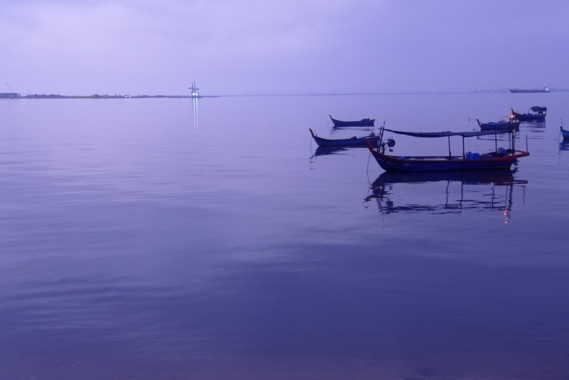 Boars drifting peacefully on a dark purple sea